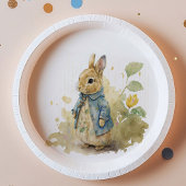Rabbit Peter party Paper Borden Papieren Bordje