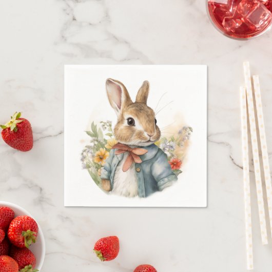Rabbit Peter Servet (Insitu)