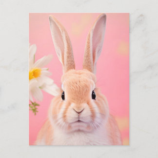 Rabbit Portrait 088 Briefkaart