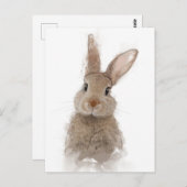 Rabbit Portrait 40 Briefkaart (Voorkant / Achterkant)