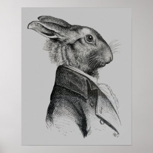 Rabbit Portret Profile Poster