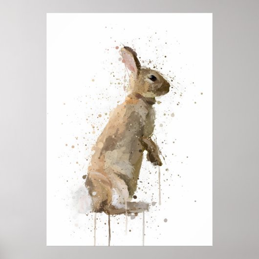 Rabbit Poster (Voorkant)