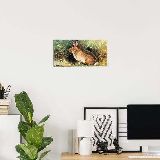 Rabbit Print (Thuiskantoor)