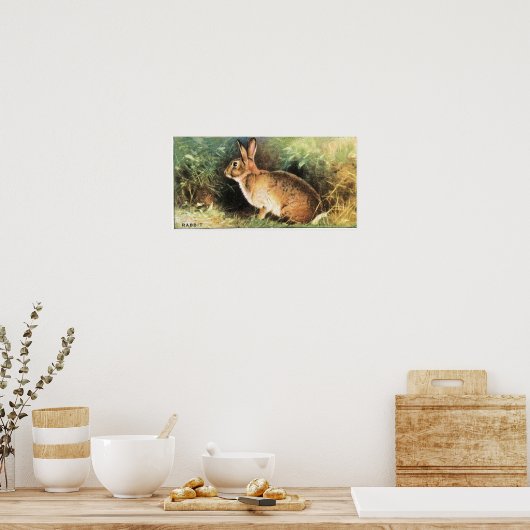 Rabbit Print (Keuken)