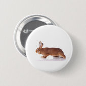 rabbit ronde button 5,7 cm (Voorkant /achterkant)