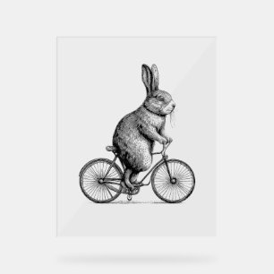 Rabbit Sur Un Vélo Bunny Vélo Vélos Hommes W