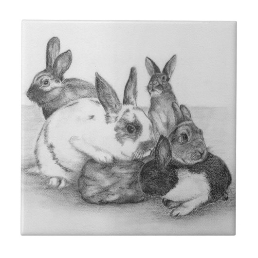 Rabbit Tegel Tegeltje (Voorkant)