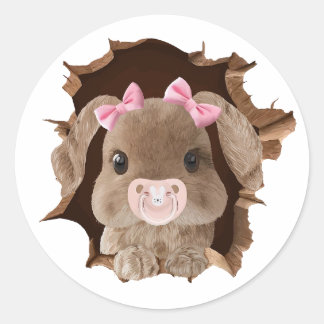 Rabbit with pacifier ronde sticker