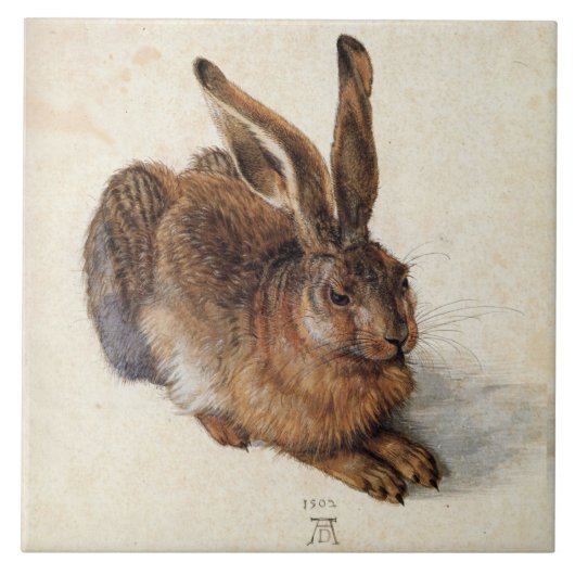 RABBIT (Young Hare) van Albrecht Durer Tegeltje (Voorkant)