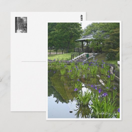 Rabbitear Iris Briefkaart (Voorkant / Achterkant)