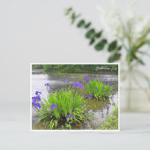 Rabbitear Iris Briefkaart (Staand voorkant)