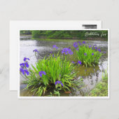 Rabbitear Iris Briefkaart (Voorkant / Achterkant)