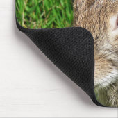 RABBITS MUISMAT (Hoek)