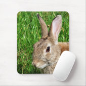 RABBITS MUISMAT (Met muis)