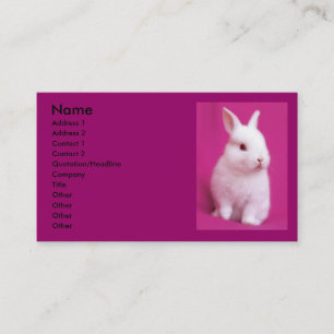 Rabbitt Visitekaartje