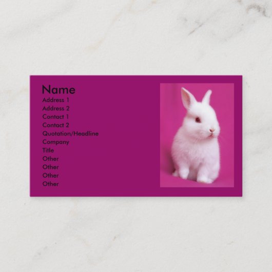 Rabbitt Visitekaartje (Voorkant)