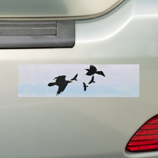 Raben raven bumpersticker (Op auto)
