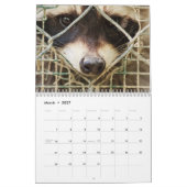 raccon-kalender kalender (Mar 2027)