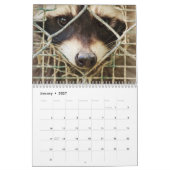 raccon-kalender kalender (Jan 2027)