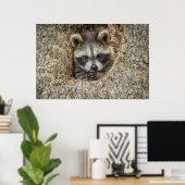 Raccon Nestled Inside a Tree Hollow Poster (Thuiskantoor)