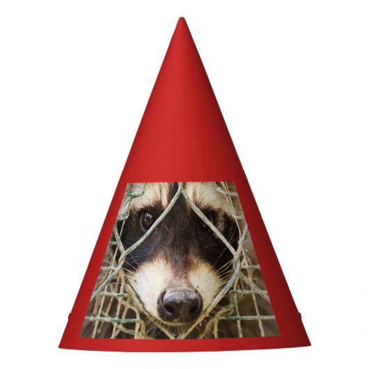 RACCON PET PARTIJ FEESTHOEDJES (Voorkant)