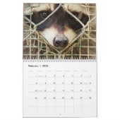 raccon sur le calendrier (Feb 2026)
