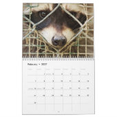 raccon sur le calendrier (Feb 2027)