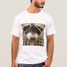 raccon sur t-shirts