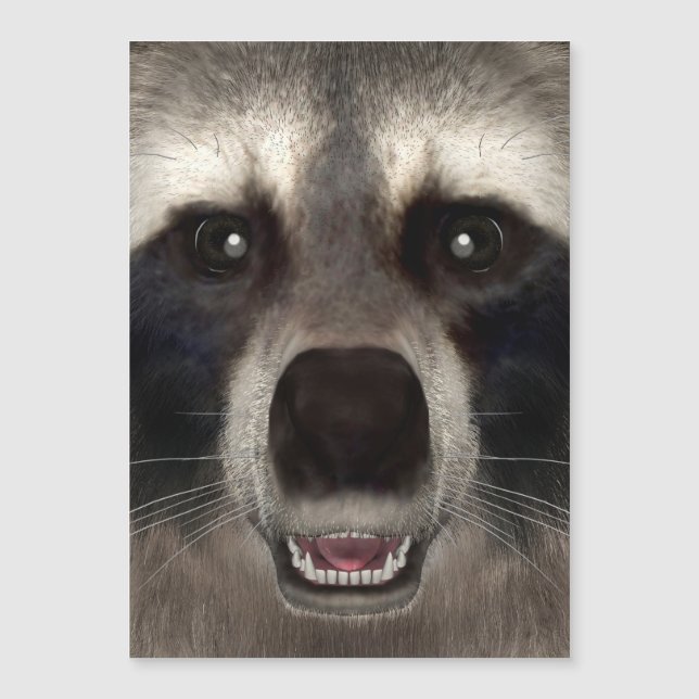 Raccoon (Voorkant)