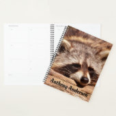 Raccoon (Devant avec enveloppe)