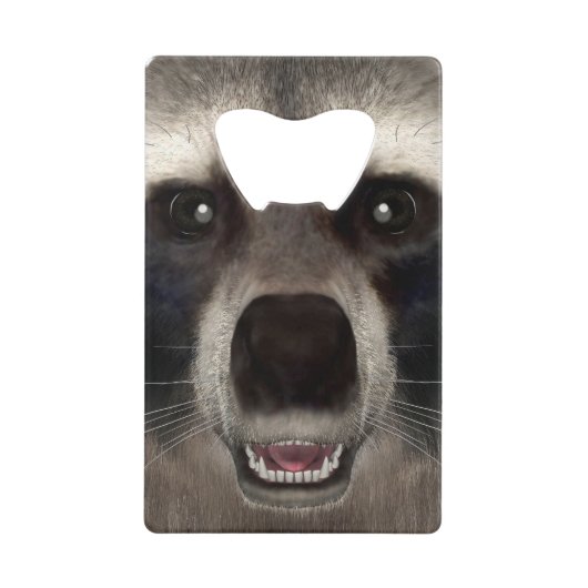 Raccoon (Devant)