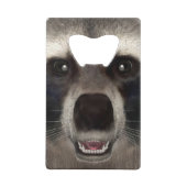 Raccoon (Dos)