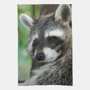 Raccoon 001 theedoek
