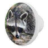 Raccoon 003 keramische knop (Rechts)