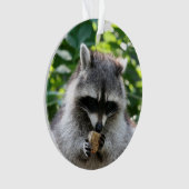 Raccoon 004 (devant)
