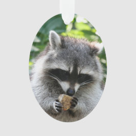 Raccoon 004 ornament