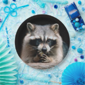 Raccoon 004 papieren bordje (Feest)