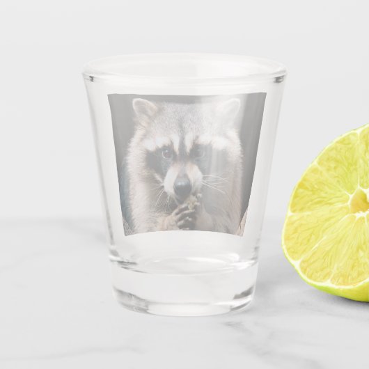 Raccoon 004 shot glas (Achterkant)