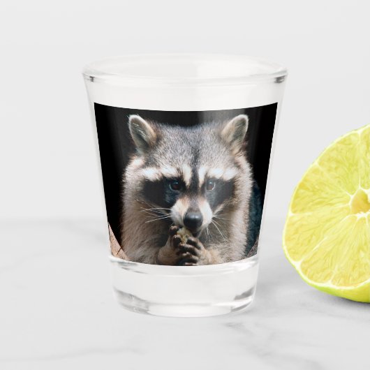 Raccoon 004 shot glas (Voorkant)