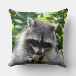 Raccoon_2014_1201 Kussen