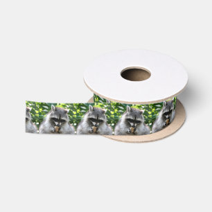 Raccoon_2014_1201 Lint