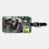 Raccoon_2015_0116 Bagagelabel (Voorkant horizontaal)