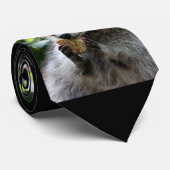 Raccoon_2015_0116 Stropdas (Opgerold)