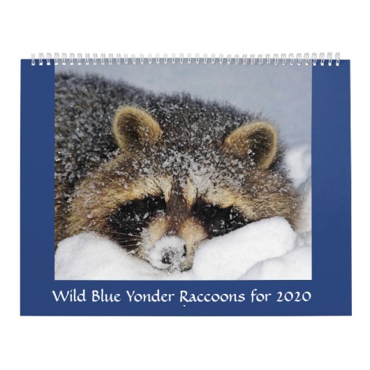 Raccoon 2020 van Wild Blue Yonder. Kalender (Hoes)