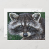 Raccoon 3 briefkaart (Voorkant / Achterkant)