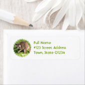 Raccoon Adresse de retour Étiquette (En situation)