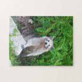 Raccoon Amateurs de faune Jigsaw Puzzle (Horizontal)