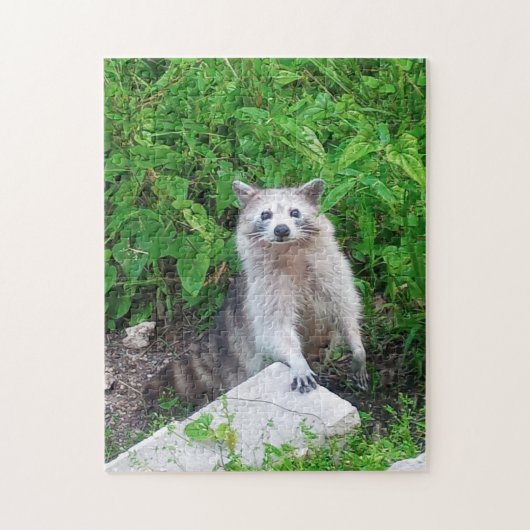 Raccoon Amateurs de faune Jigsaw Puzzle (Vertical)