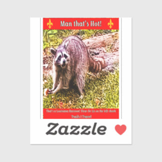 Raccoon Avec Sticker Fleur De Lis