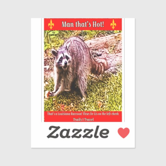 Raccoon Avec Sticker Fleur De Lis (Feuille)